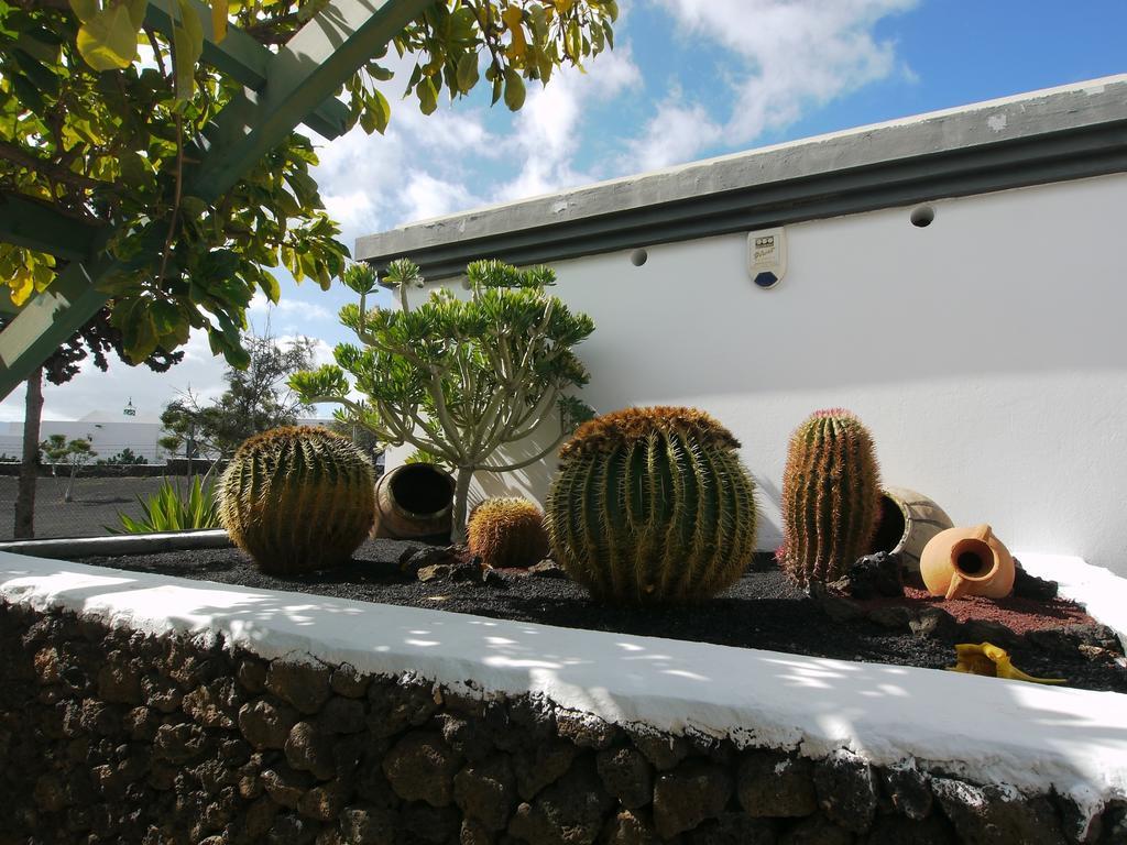 Apartamentos Guacimeta Matagorda  Exterior photo