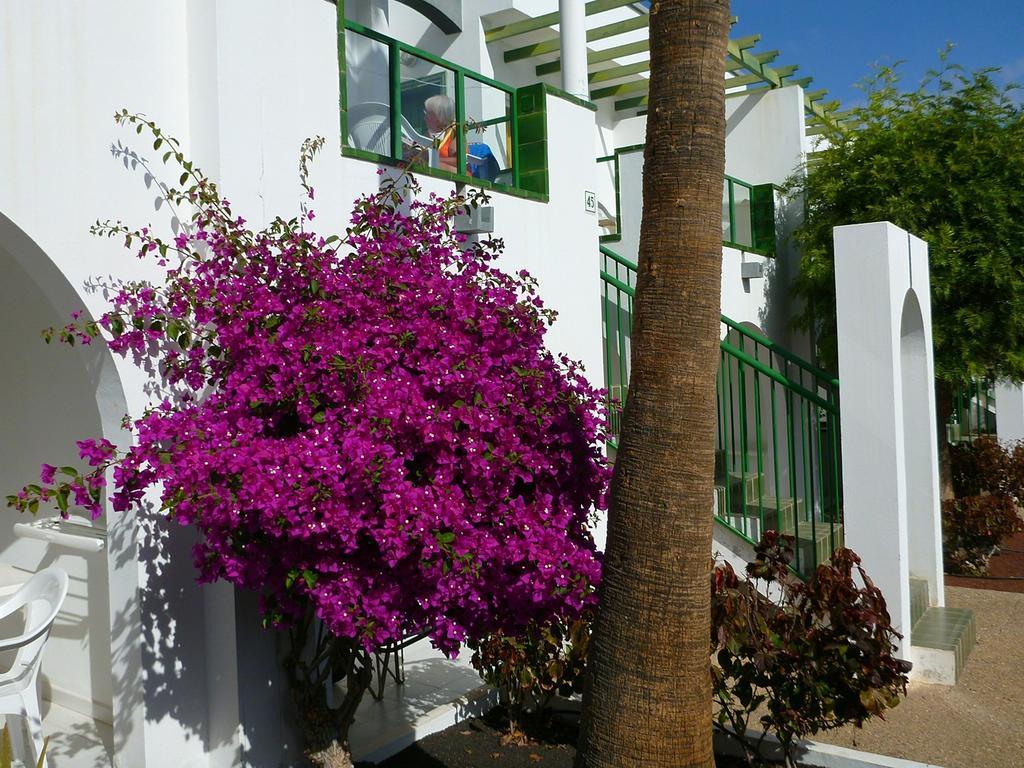 Apartamentos Guacimeta Matagorda  Exterior photo